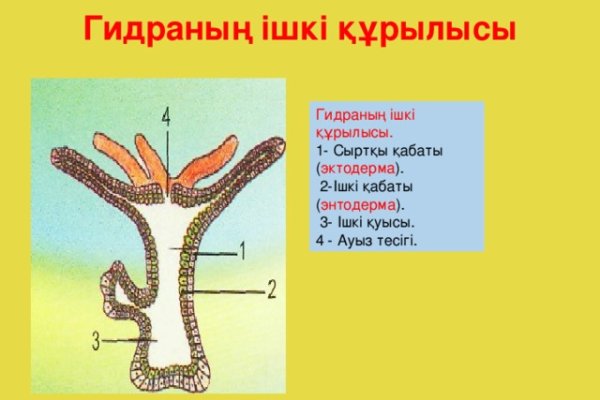 Что продают на кракене