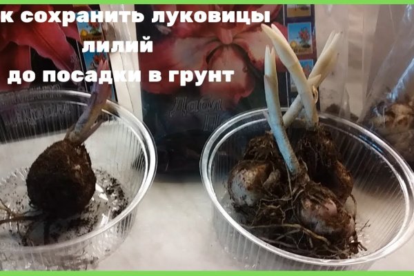 Кракен продает наркотики